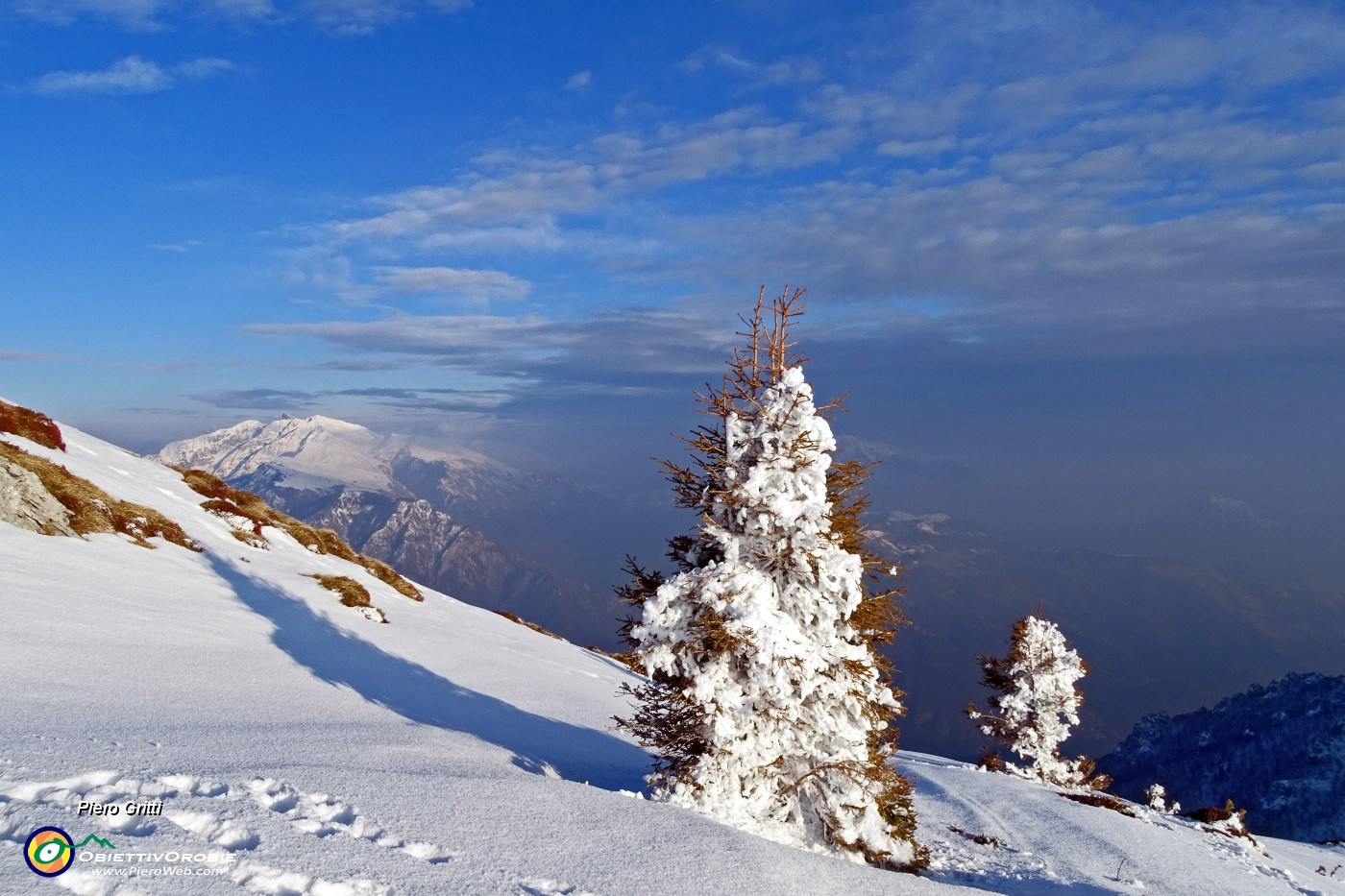 03 Abeti vestiti di bianca neve ghiacciata.JPG -                                